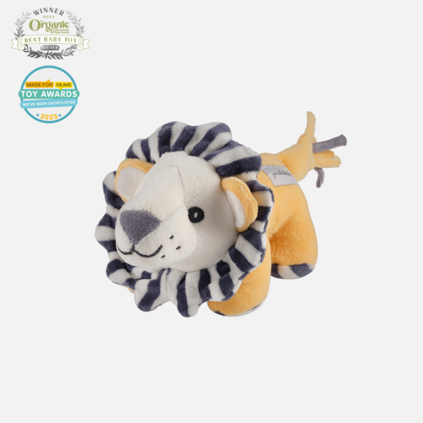 Lion Sensory Toy