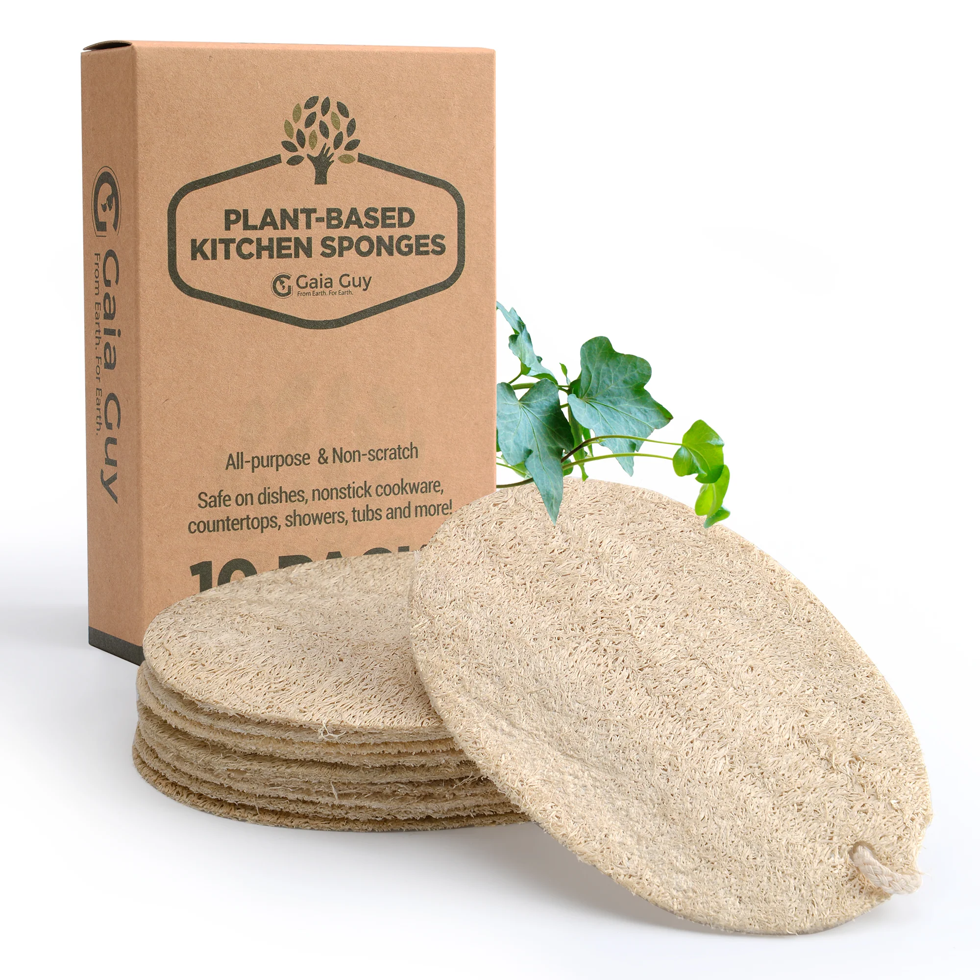 Natural Dish Sponge Value Pack, Loofah Kitchen Scrubber Scouring Pad (Plastic-Free, Nylon Free) 6 + Bonus 4 Pack!